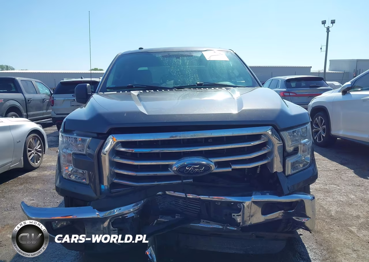 2016 Ford F-150 Xlt VIN:1FTEW1CP7GKF65086 - 12