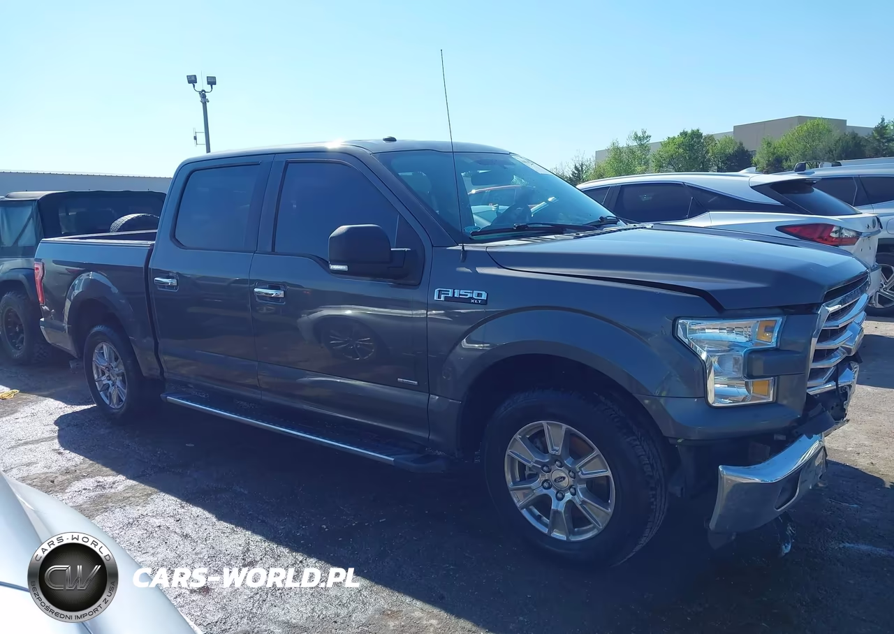 2016 Ford F-150 Xlt VIN:1FTEW1CP7GKF65086 - 13