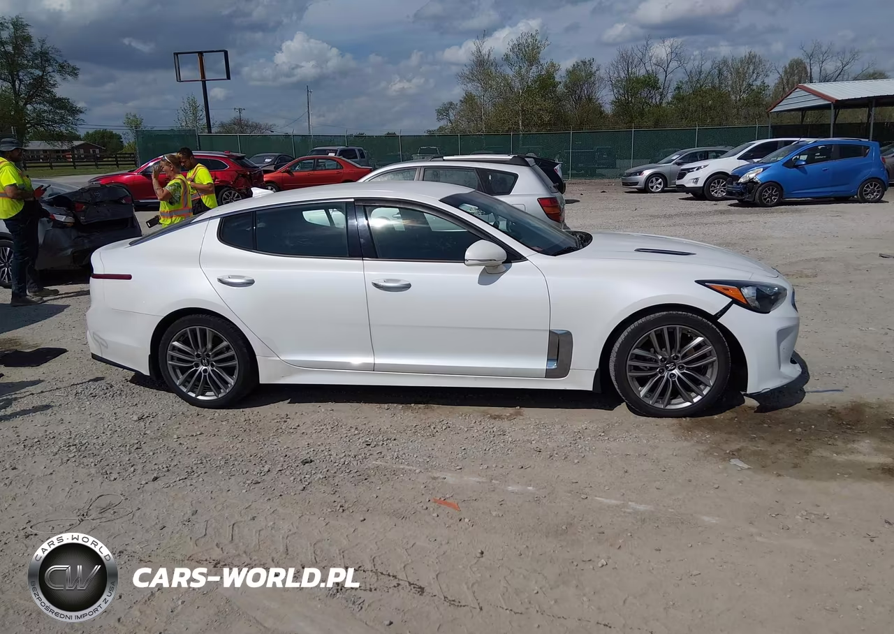 2018 Kia Stinger VIN:KNAE15LA9J6031120 - 13