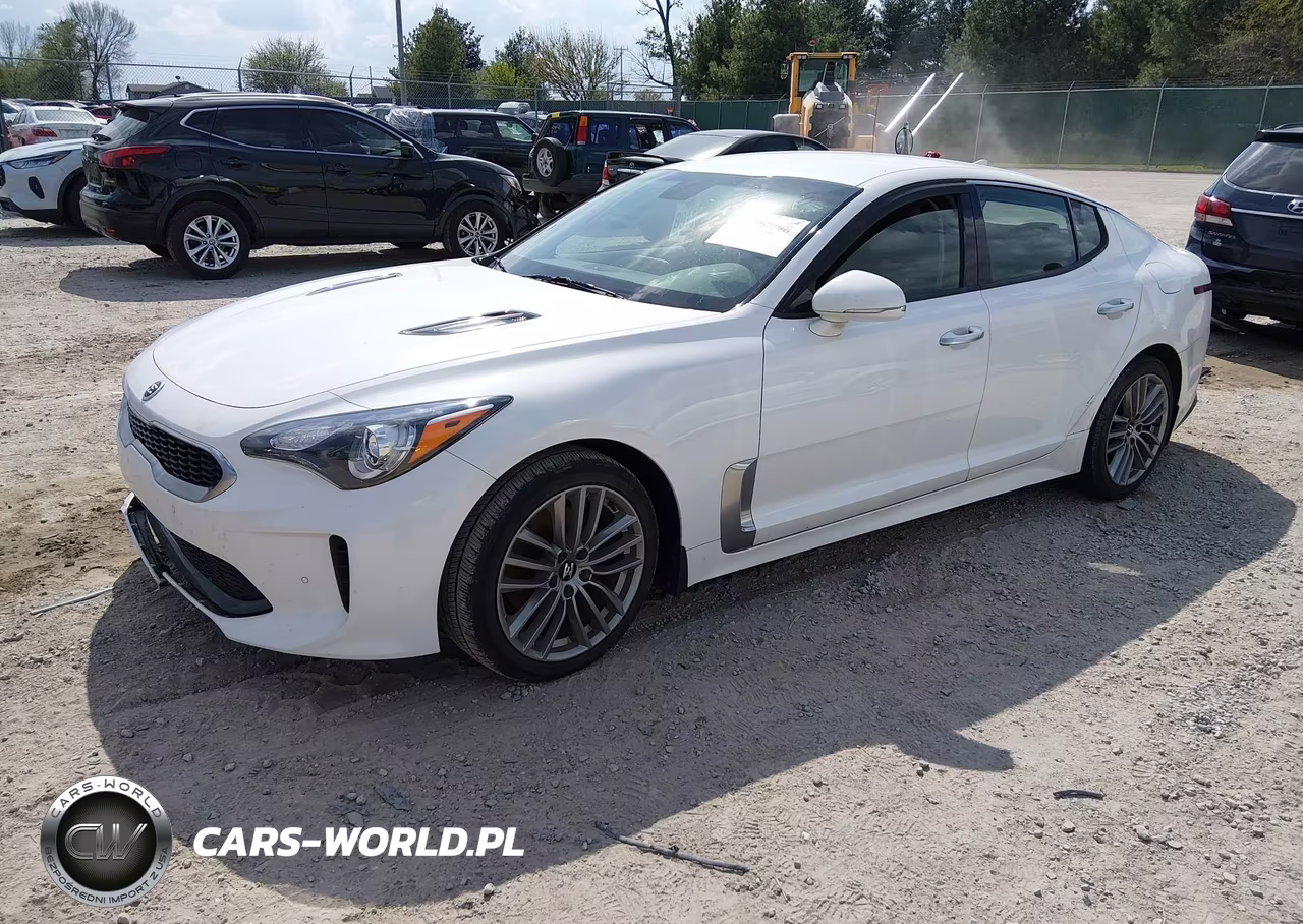 2018 Kia Stinger VIN:KNAE15LA9J6031120 - 2