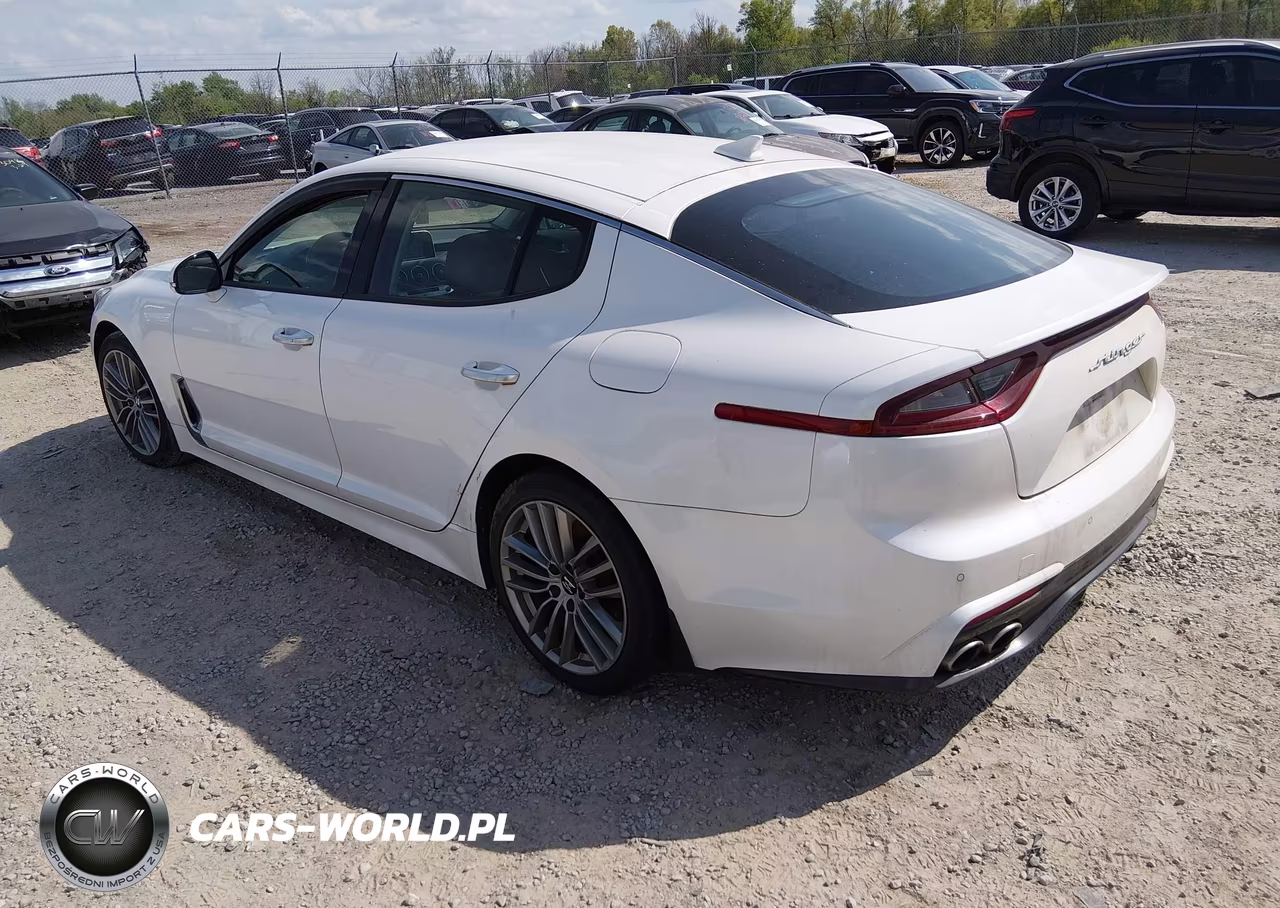 2018 Kia Stinger VIN:KNAE15LA9J6031120 - 3