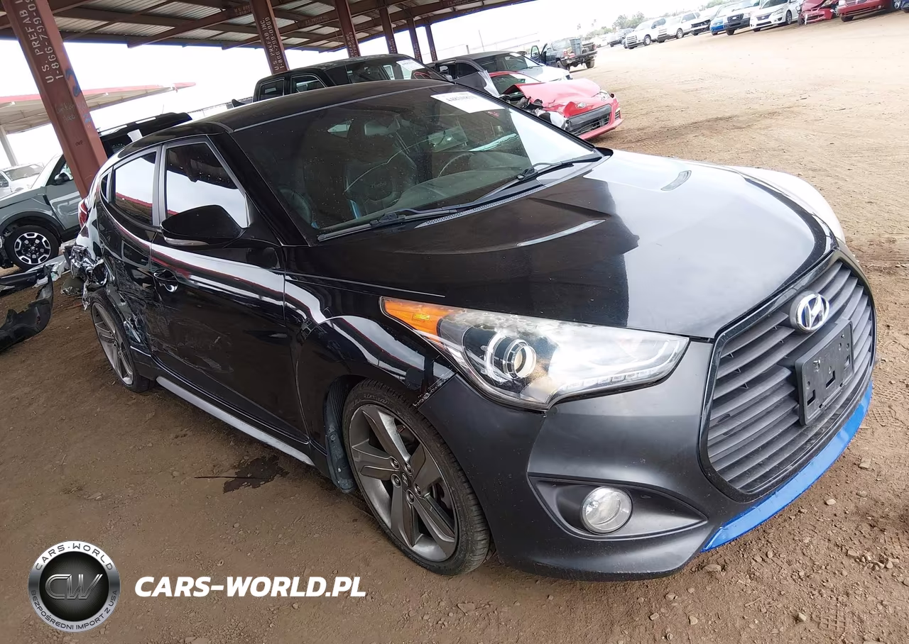 2013 Hyundai Veloster Turbo W-Blue VIN:KMHTC6AEXDU166506 - 17