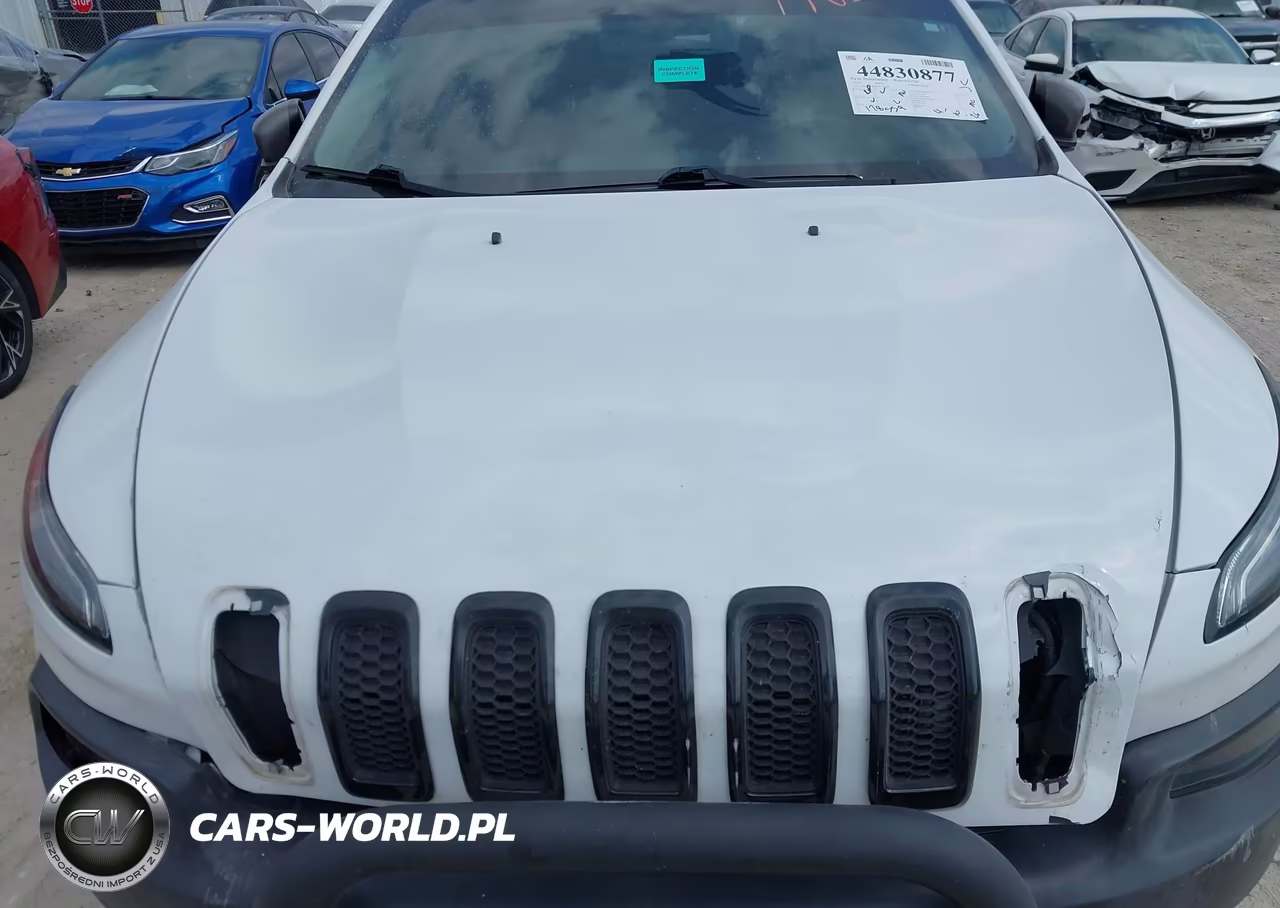 2014 Jeep Cherokee Trailhawk VIN:1C4PJMBS0EW250697 - 10
