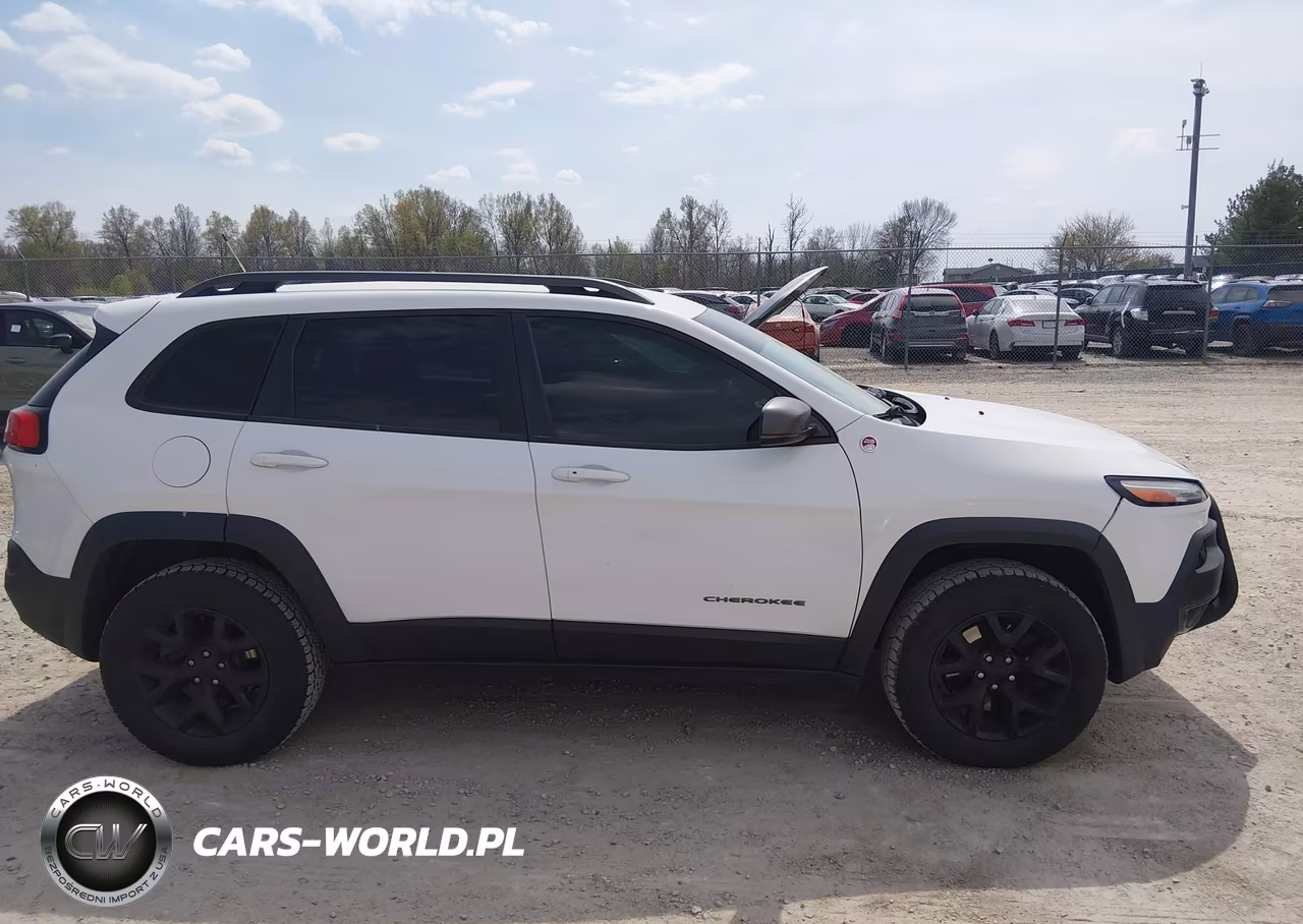 2014 Jeep Cherokee Trailhawk VIN:1C4PJMBS0EW250697 - 14
