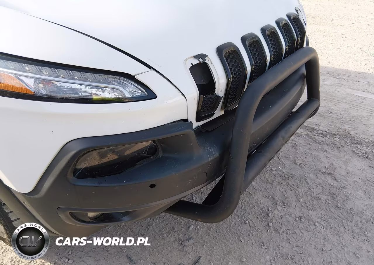 2014 Jeep Cherokee Trailhawk VIN:1C4PJMBS0EW250697 - 19