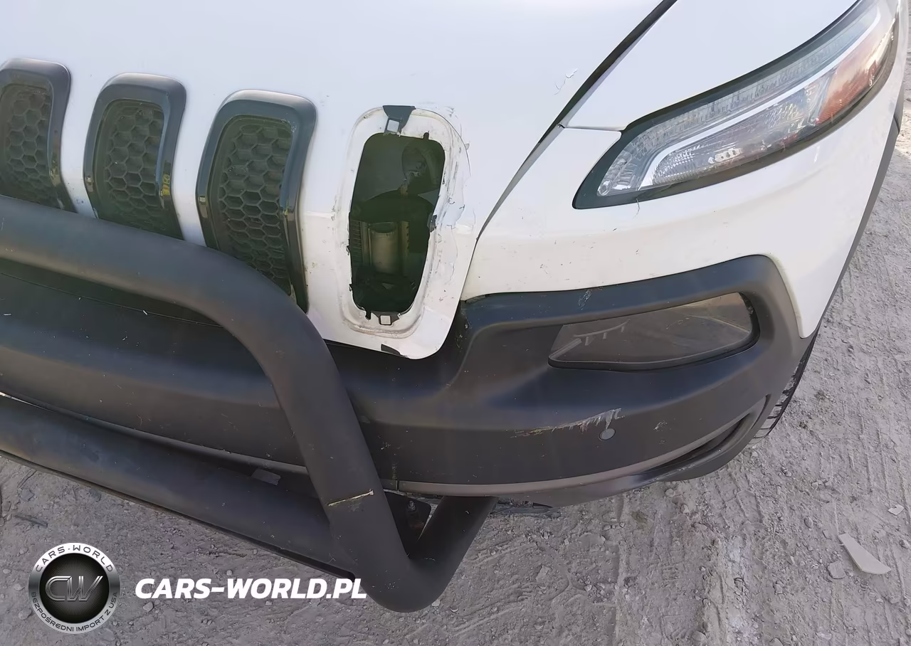 2014 Jeep Cherokee Trailhawk VIN:1C4PJMBS0EW250697 - 20