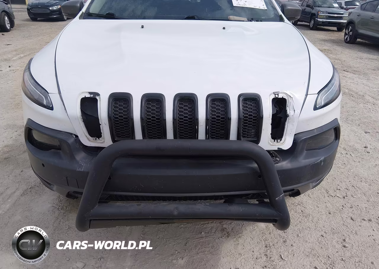 2014 Jeep Cherokee Trailhawk VIN:1C4PJMBS0EW250697 - 6