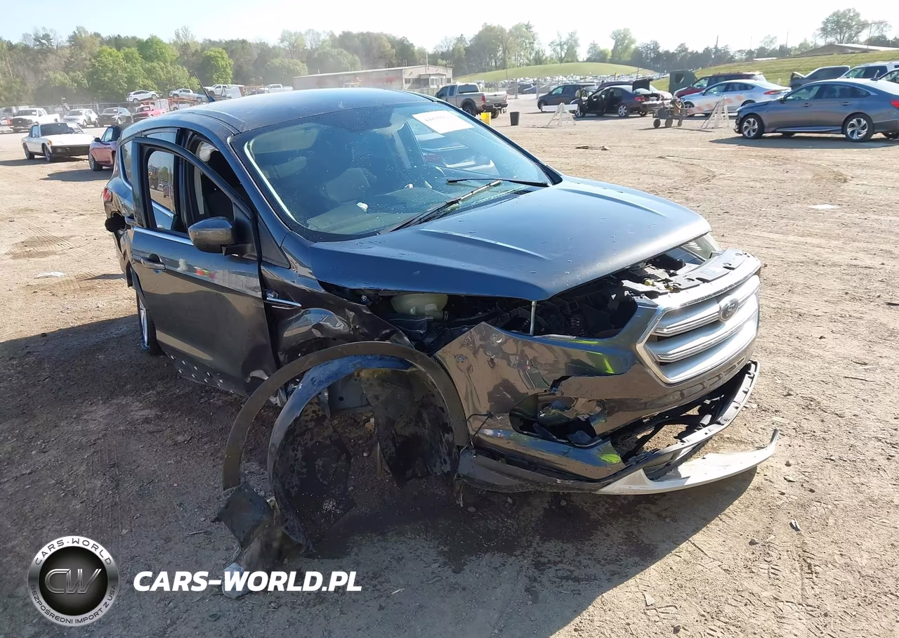 2019 Ford Escape Se