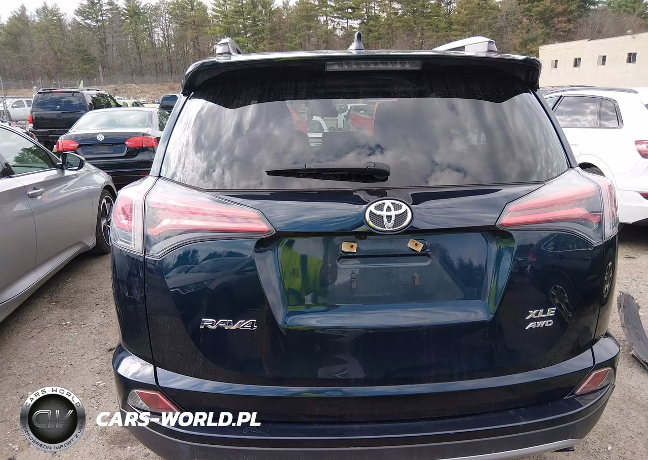 2018 Toyota Rav4 Xle VIN:JTMRFREV7JJ745225 - 17