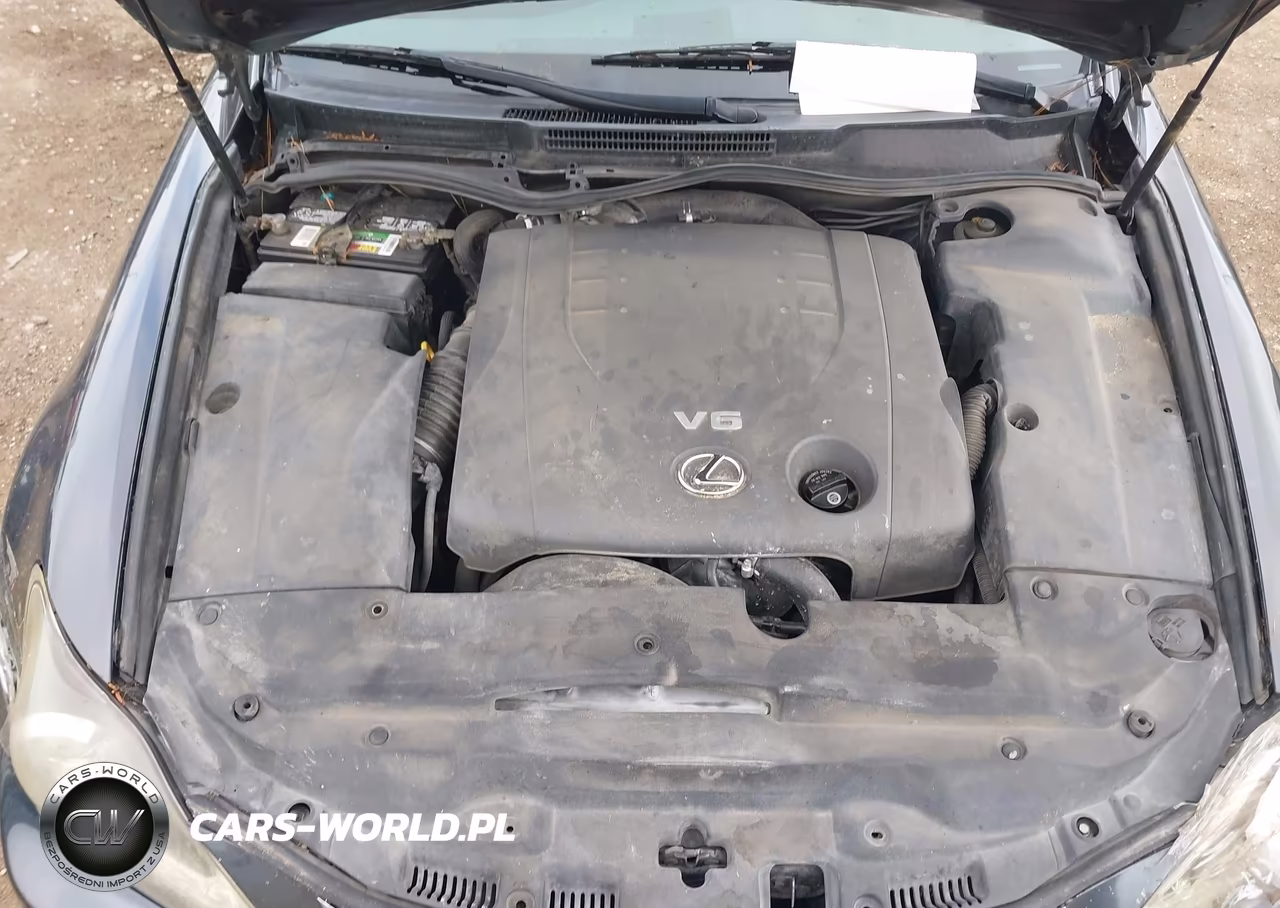2006 Lexus Is 250 VIN:JTHBK262X65016806 - 10