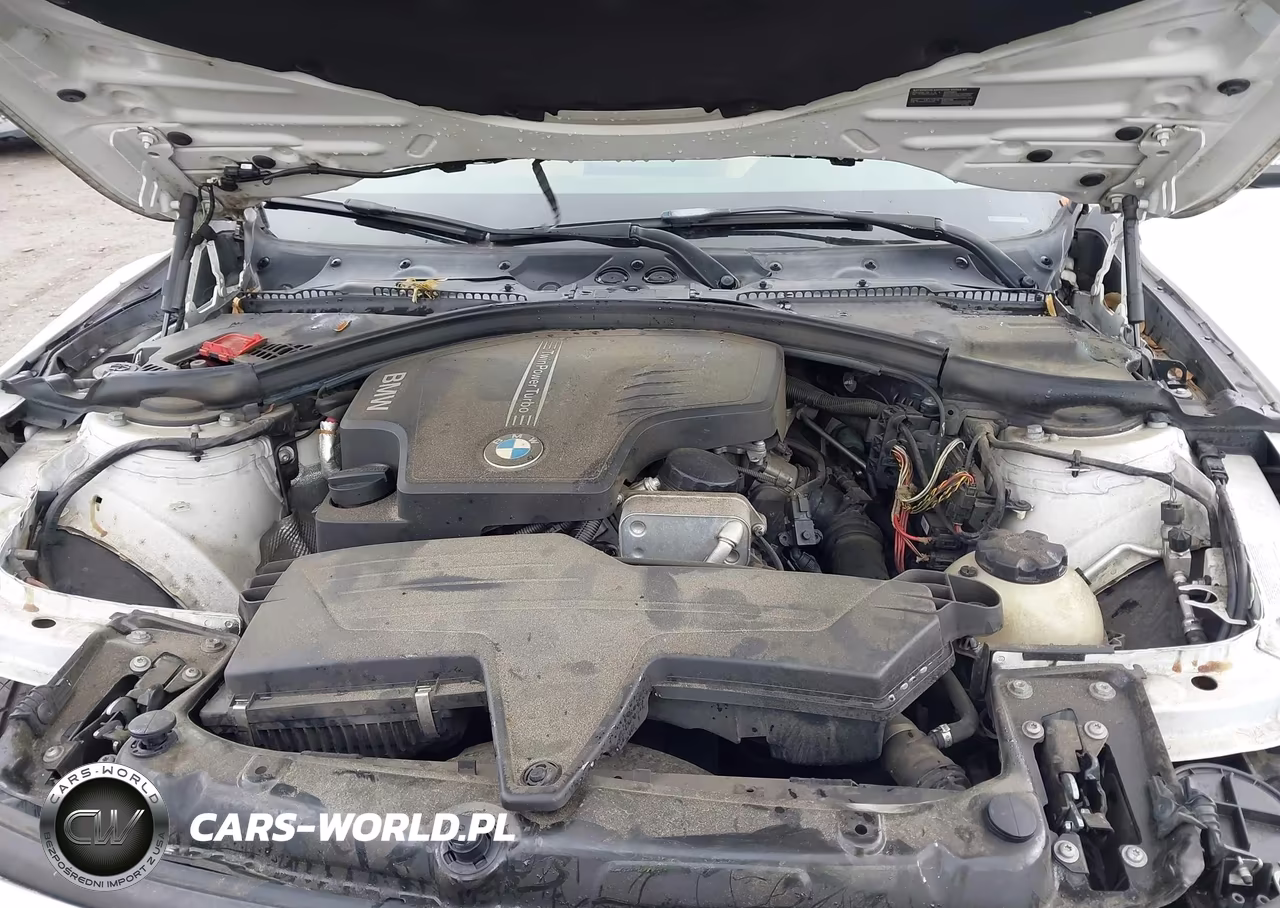 2014 BMW 320I VIN:WBA3B1C52EK131864 - 10