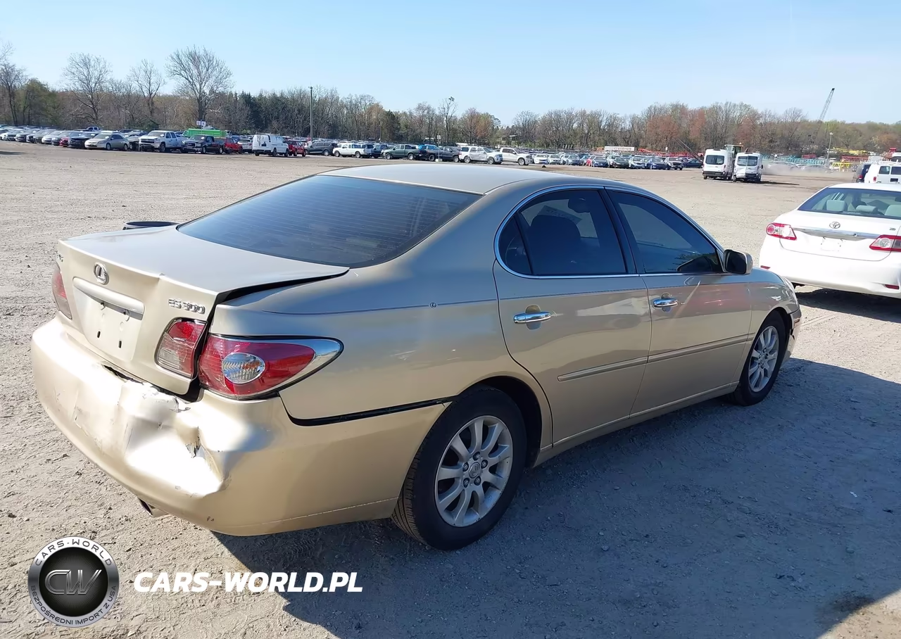 2002 Lexus Es 300 VIN:JTHBF30G720083143 - 4