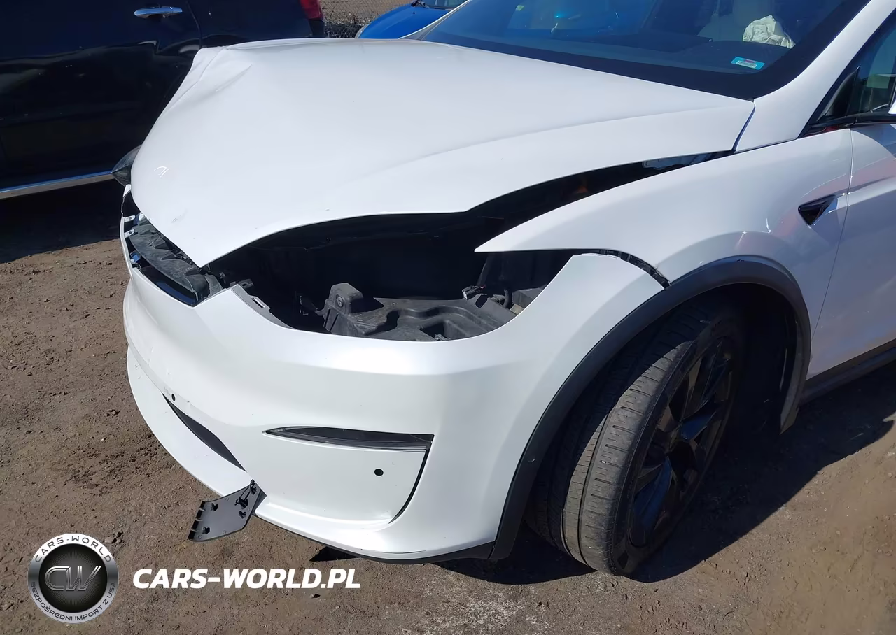 2023 Tesla Model X VIN:7SAXCBE51PF365159 - 6
