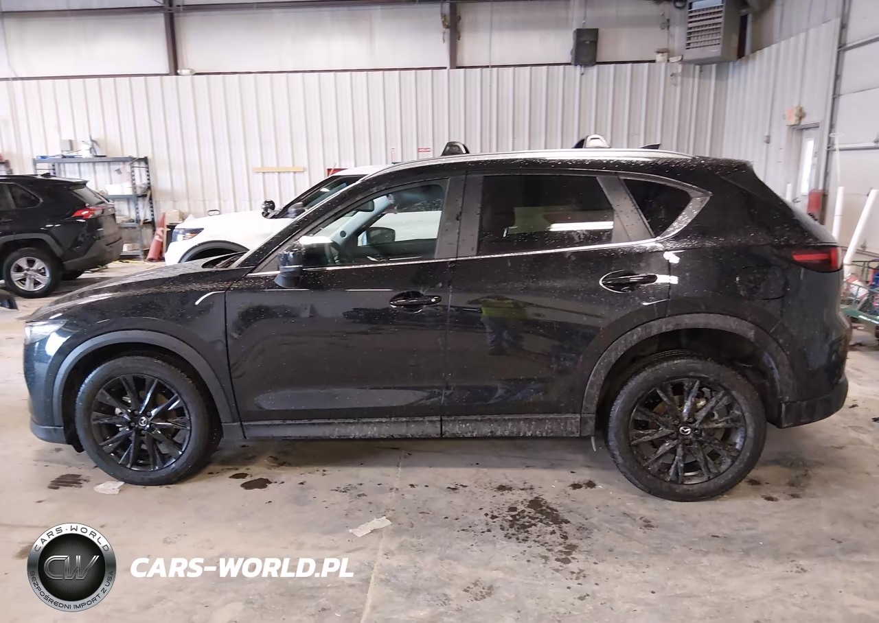 2025 Mazda Cx-5 2.5 S Carbon Edition VIN:JM3KFBCM3S0720629 - 15