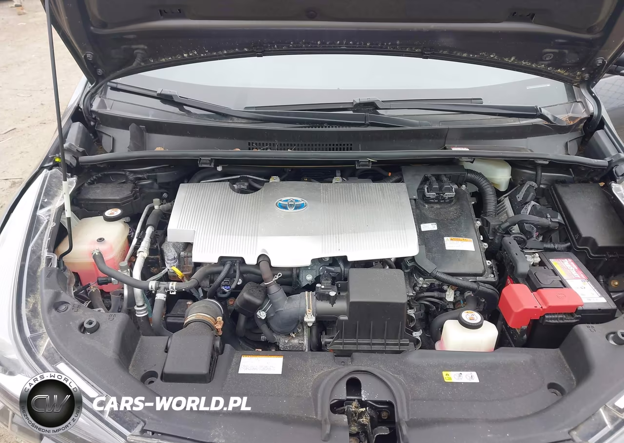 2019 Toyota Prius Xle VIN:JTDL9RFU4K3003731 - 10