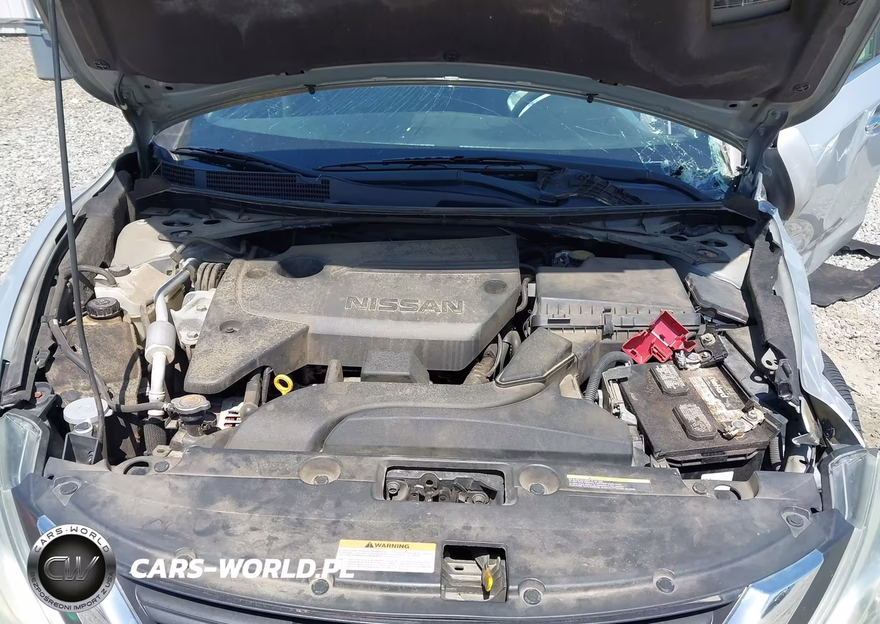 2016 Nissan Altima 2.5-2.5 S-2.5 Sl-2.5 Sr-2.5 Sv VIN:1N4AL3AP3GN367986 - 10