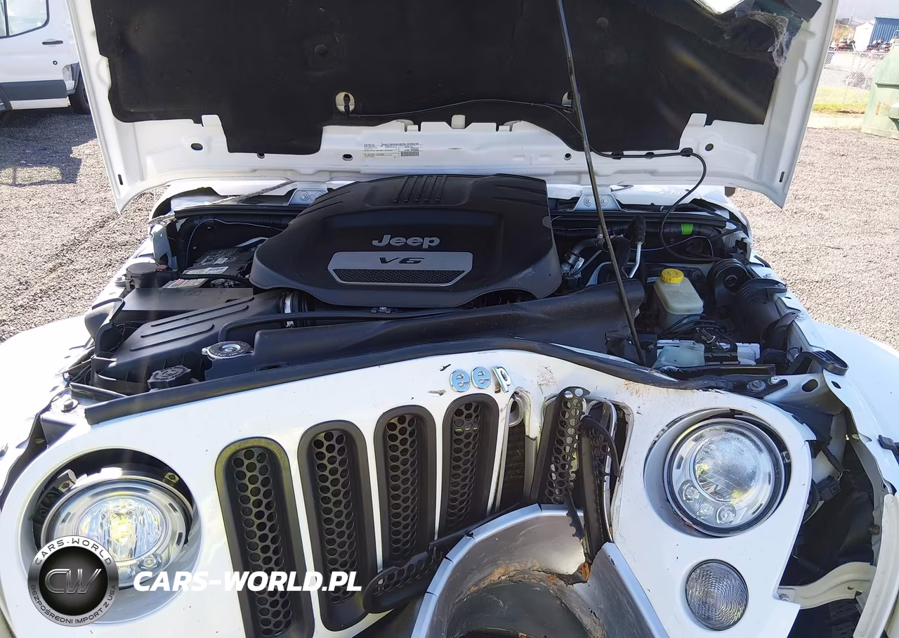 2017 Jeep Wrangler Unlimited Sahara 4X4 VIN:1C4BJWEG2HL513954 - 10