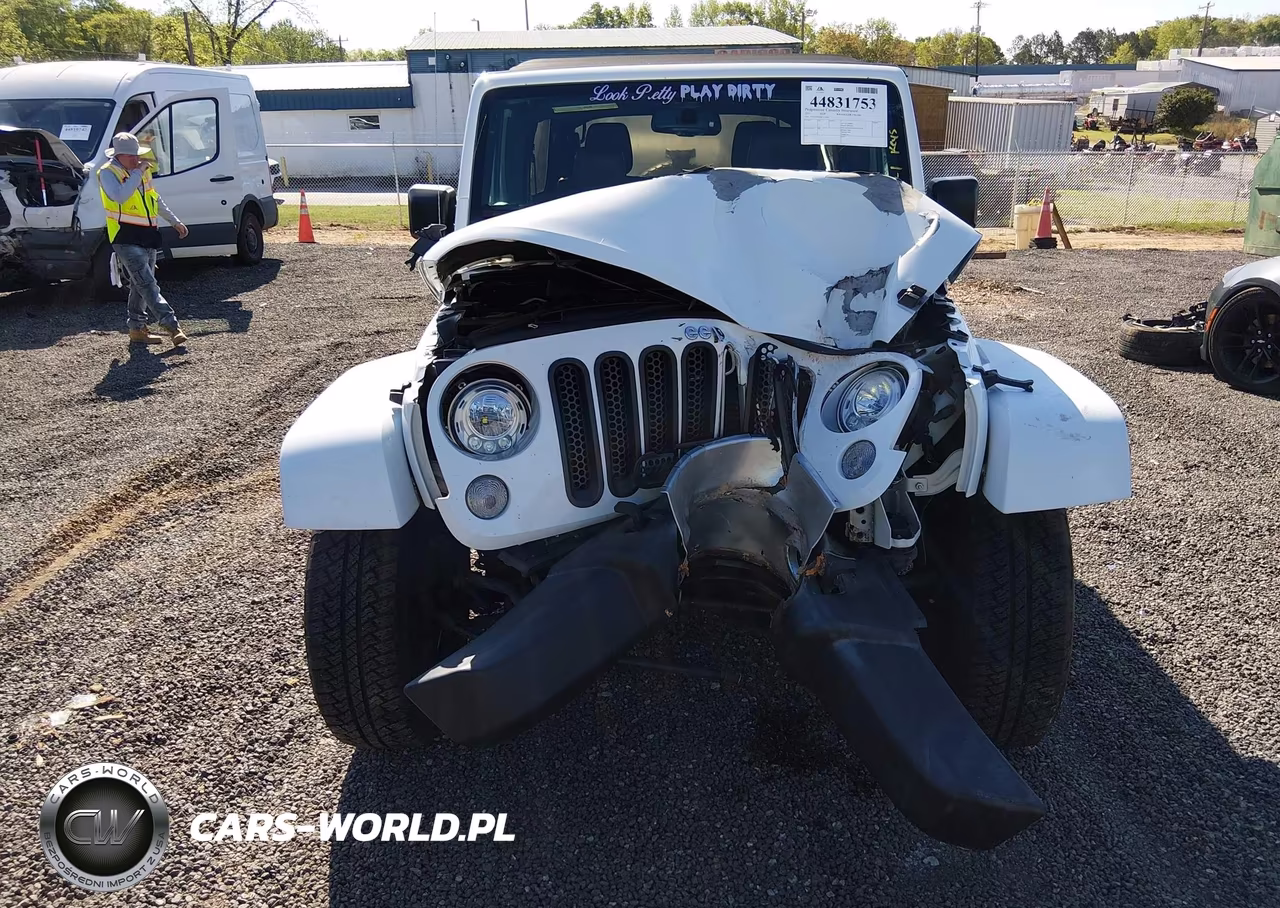 2017 Jeep Wrangler Unlimited Sahara 4X4 VIN:1C4BJWEG2HL513954 - 6