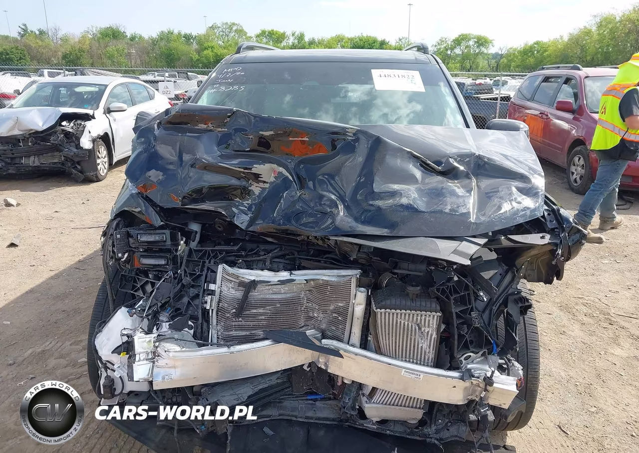 2025 Hyundai Santa Fe Calligraphy VIN:5NMP5DGLXSH098285 - 11