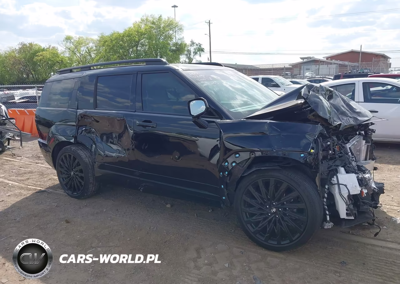 2025 Hyundai Santa Fe Calligraphy VIN:5NMP5DGLXSH098285 - 12