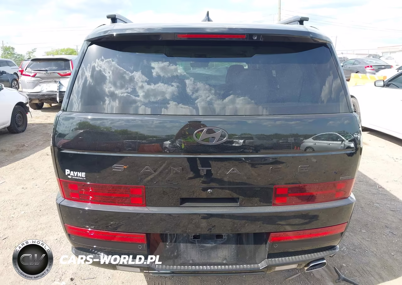 2025 Hyundai Santa Fe Calligraphy VIN:5NMP5DGLXSH098285 - 15