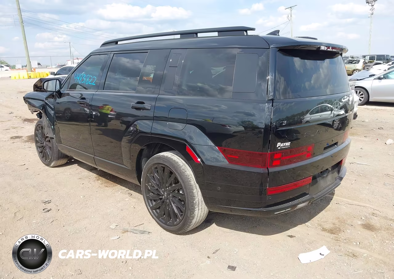 2025 Hyundai Santa Fe Calligraphy VIN:5NMP5DGLXSH098285 - 3