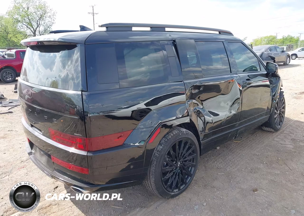 2025 Hyundai Santa Fe Calligraphy VIN:5NMP5DGLXSH098285 - 4