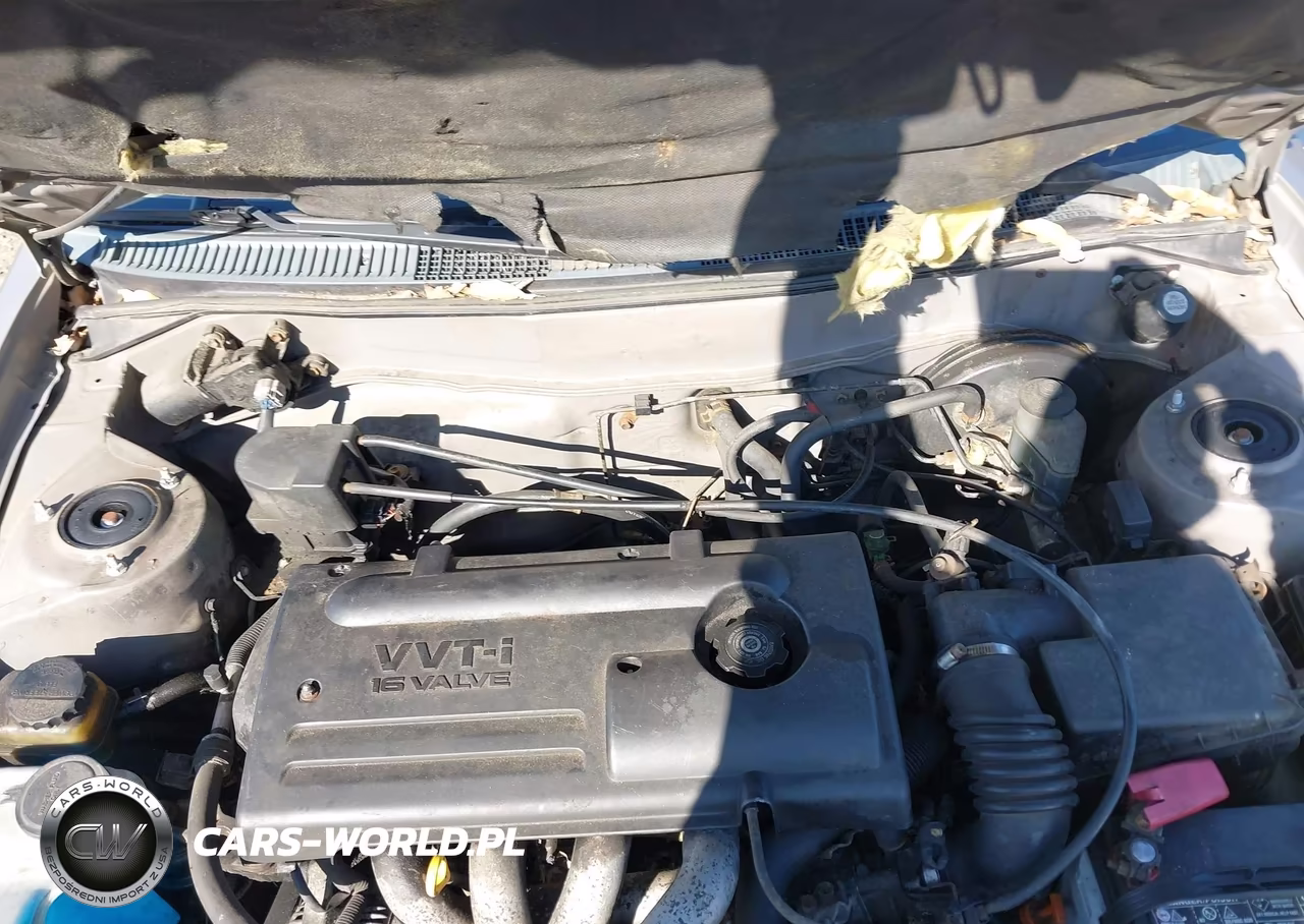2000 Toyota Corolla Ce VIN:2T1BR12E9YC373147 - 10