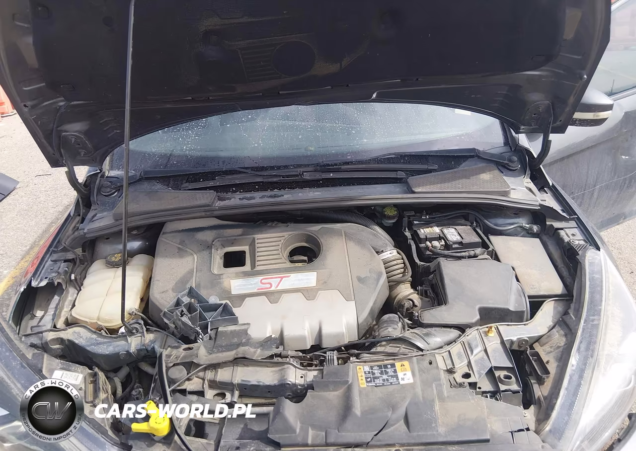 2017 Ford Focus St VIN:1FADP3L90HL212387 - 10