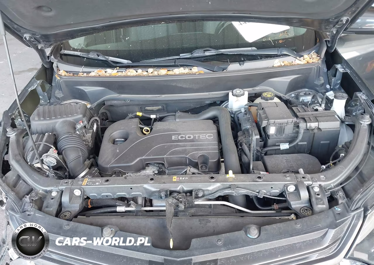 2019 Chevrolet Equinox Lt VIN:3GNAXKEV1KL173751 - 10