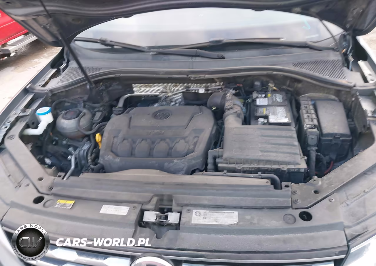 2019 Volkswagen Tiguan 2.0T S VIN:3VV1B7AX6KM061888 - 10