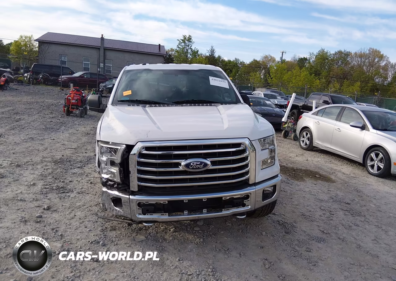 2016 Ford F-150 Xlt VIN:1FTEW1EF3GFD39012 - 13