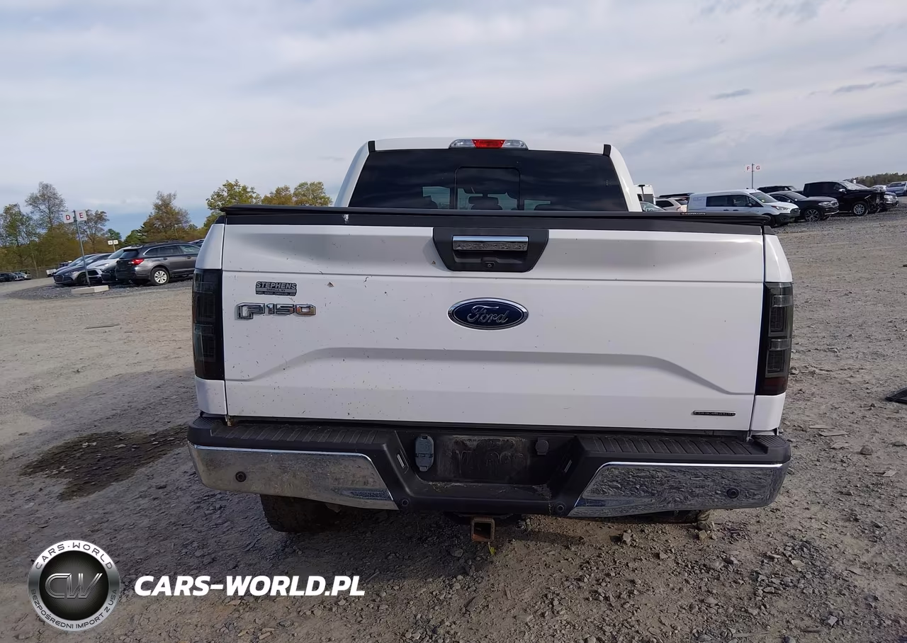 2016 Ford F-150 Xlt VIN:1FTEW1EF3GFD39012 - 17