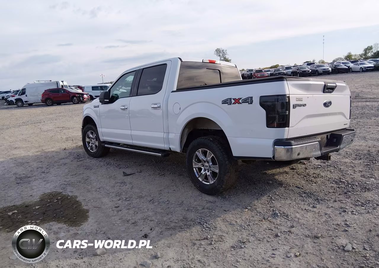 2016 Ford F-150 Xlt VIN:1FTEW1EF3GFD39012 - 3