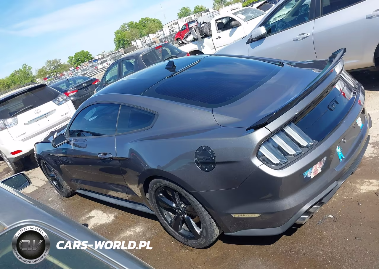 2021 Ford Mustang Gt Fastback VIN:1FA6P8CF5M5147563 - 14