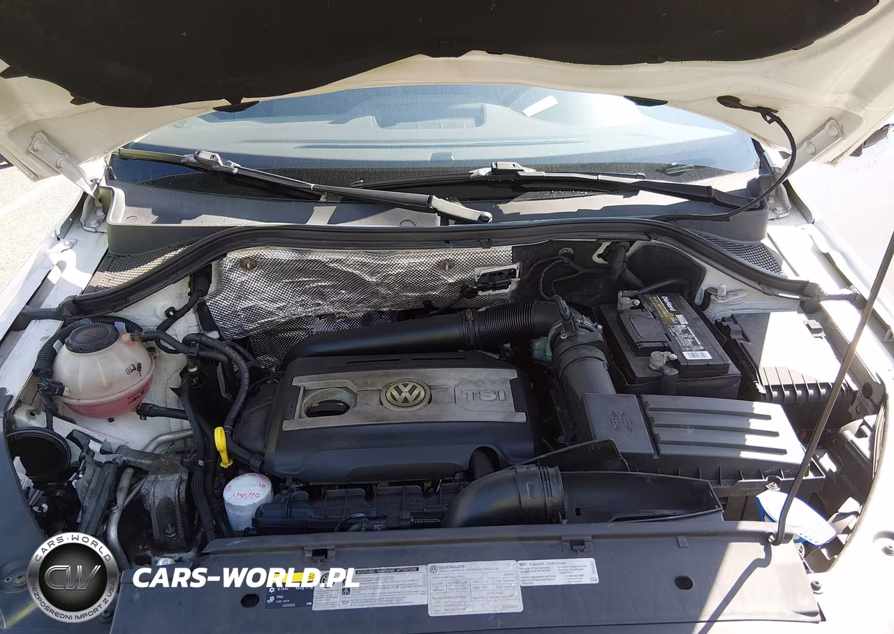 2017 Volkswagen Tiguan 2.0T-2.0T S VIN:WVGAV7AX4HK046663 - 10