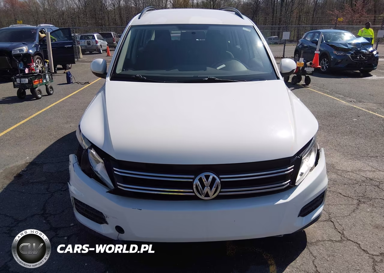 2017 Volkswagen Tiguan 2.0T-2.0T S VIN:WVGAV7AX4HK046663 - 12