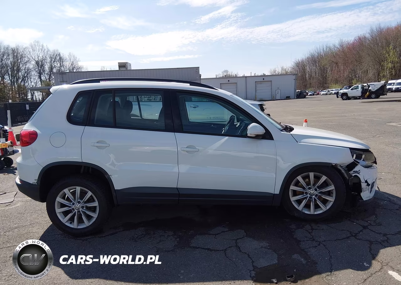 2017 Volkswagen Tiguan 2.0T-2.0T S VIN:WVGAV7AX4HK046663 - 13