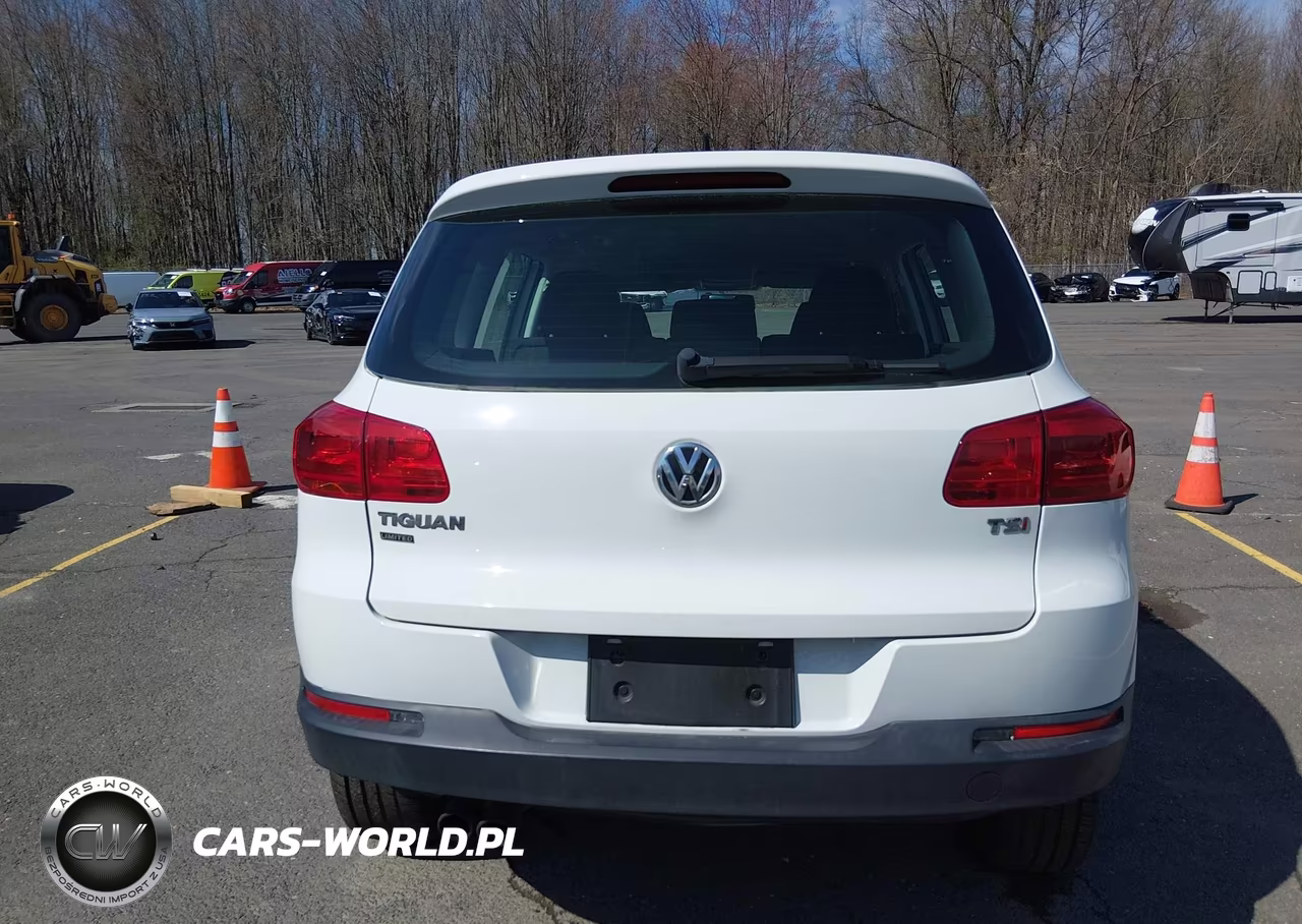 2017 Volkswagen Tiguan 2.0T-2.0T S VIN:WVGAV7AX4HK046663 - 16