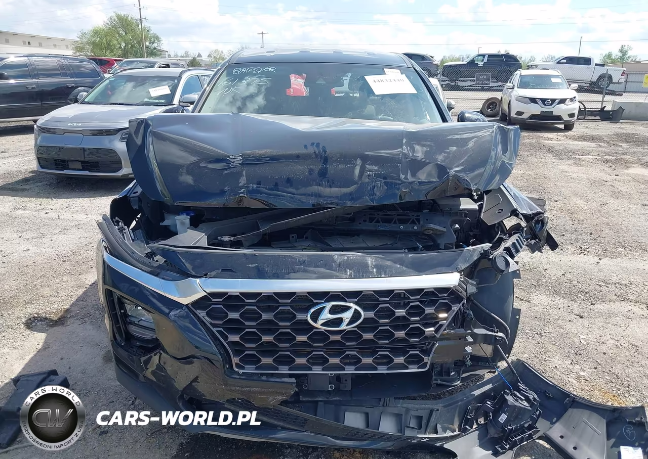 2020 Hyundai Santa Fe Sel VIN:5NMS33AD3LH181117 - 13