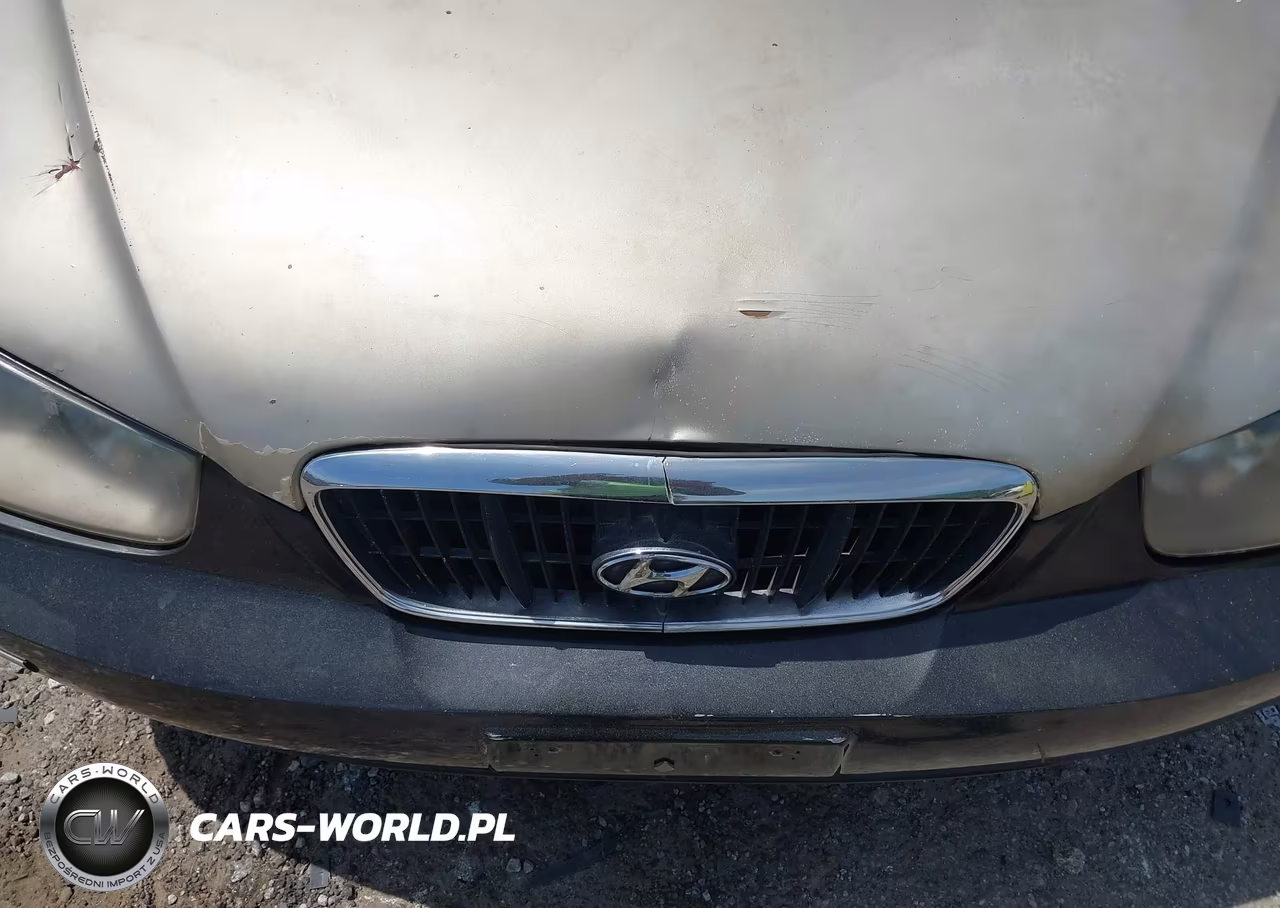 2002 Hyundai Elantra Gls VIN:KMHDN45D52U368249 - 20