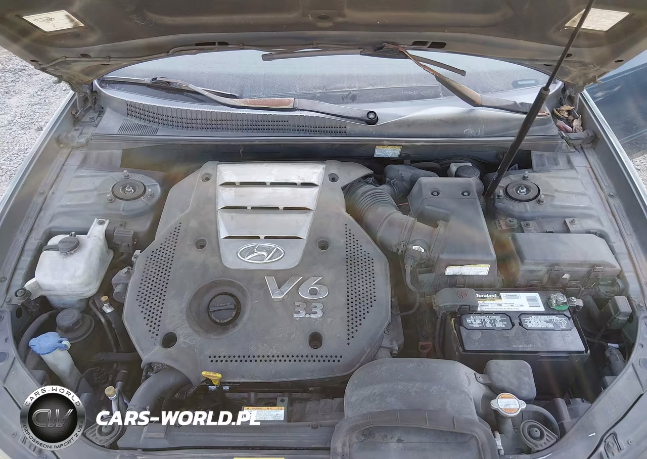 2006 Hyundai Sonata Gls V6-Lx V6 VIN:5NPEU46F46H026948 - 10