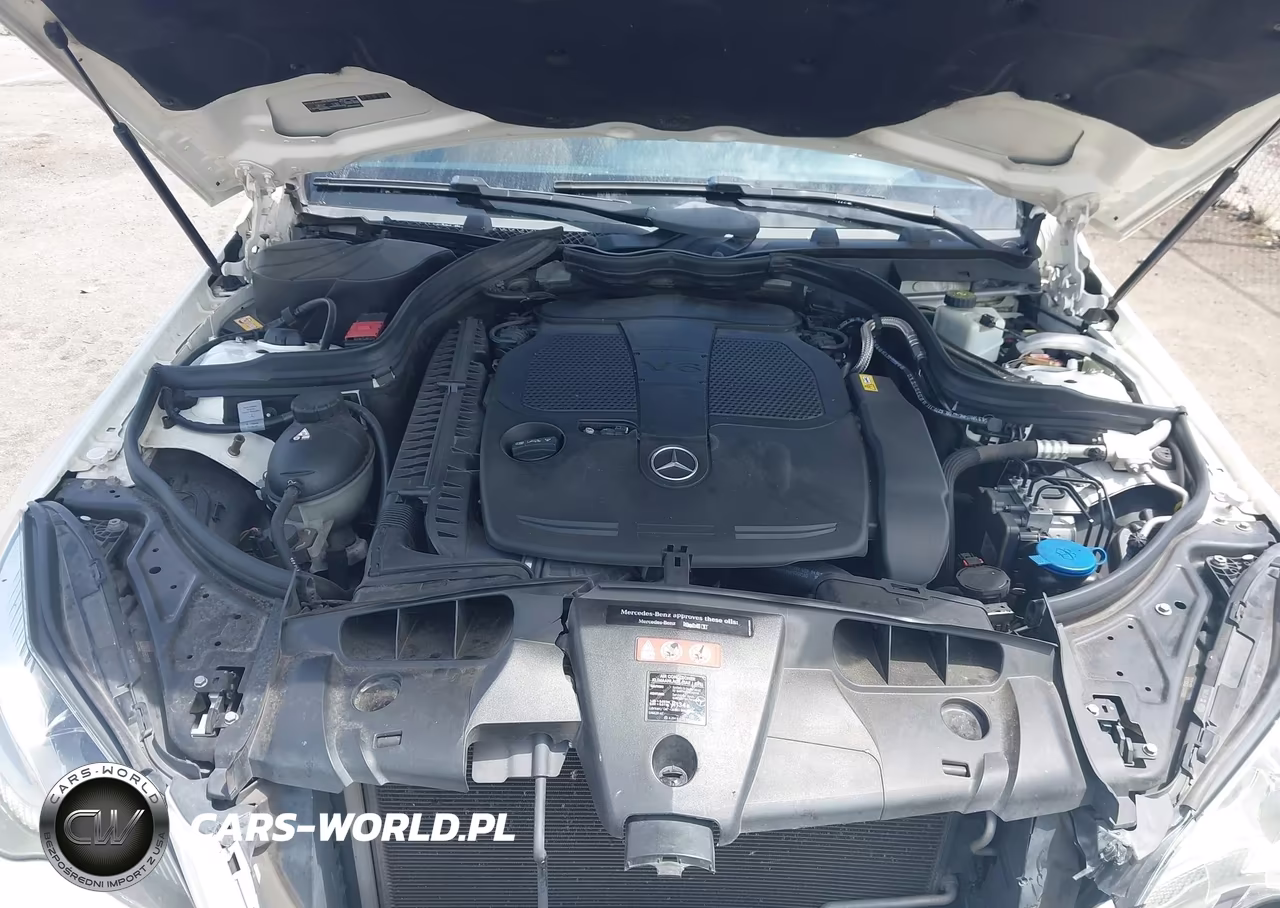 2014 Mercedes-Benz E 350 VIN:WDDKJ5KB9EF251952 - 10