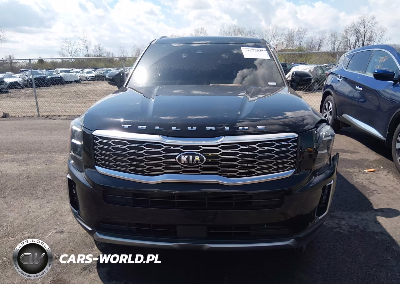 2021 Kia Telluride Ex VIN:5XYP3DHC8MG190805 - 12