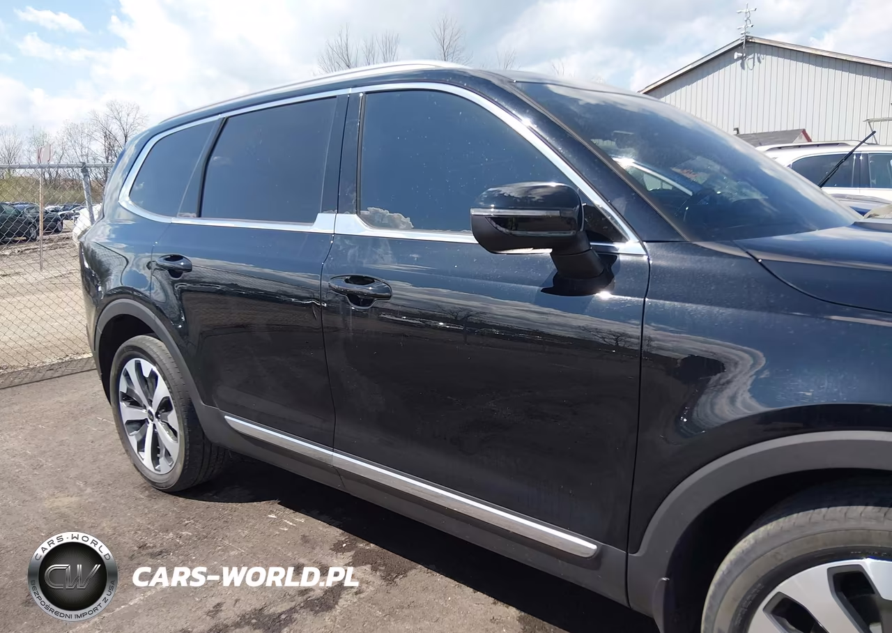 2021 Kia Telluride Ex VIN:5XYP3DHC8MG190805 - 13