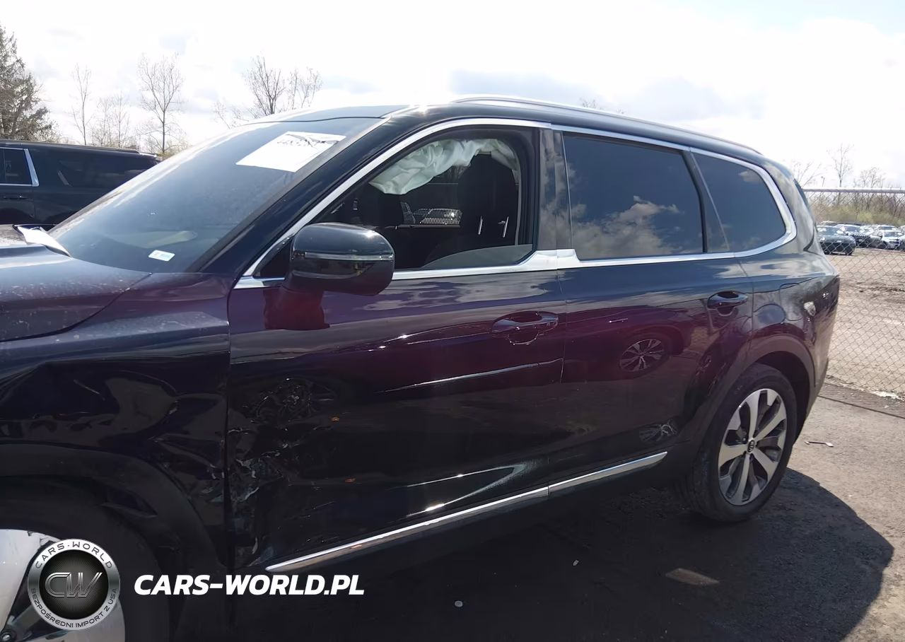2021 Kia Telluride Ex VIN:5XYP3DHC8MG190805 - 14