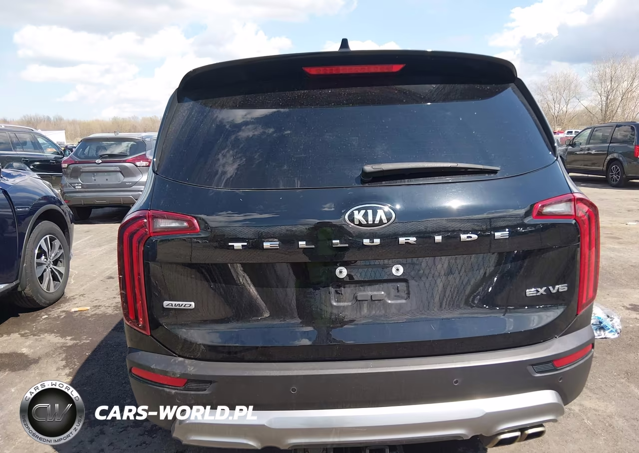 2021 Kia Telluride Ex VIN:5XYP3DHC8MG190805 - 16