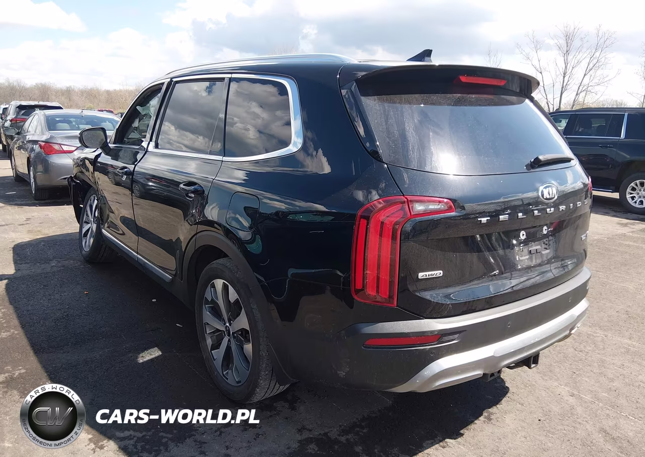 2021 Kia Telluride Ex VIN:5XYP3DHC8MG190805 - 3