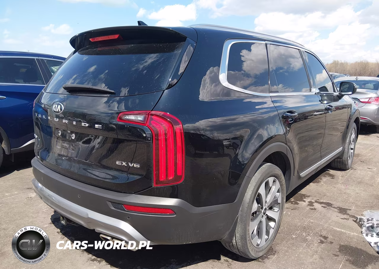 2021 Kia Telluride Ex VIN:5XYP3DHC8MG190805 - 4