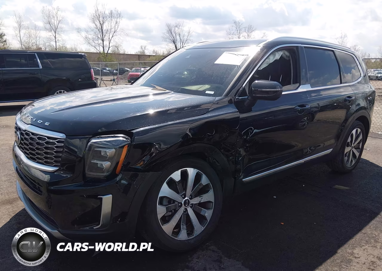 2021 Kia Telluride Ex VIN:5XYP3DHC8MG190805 - 6